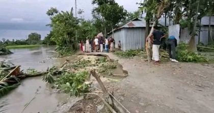 বিপৎসীমার উপরে তিস্তার পানি, ভাঙন আতঙ্কে দিশেহারা মানুষ