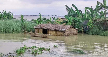 কুড়িগ্রামে তিস্তার পানি বিপৎসীমার ওপরে