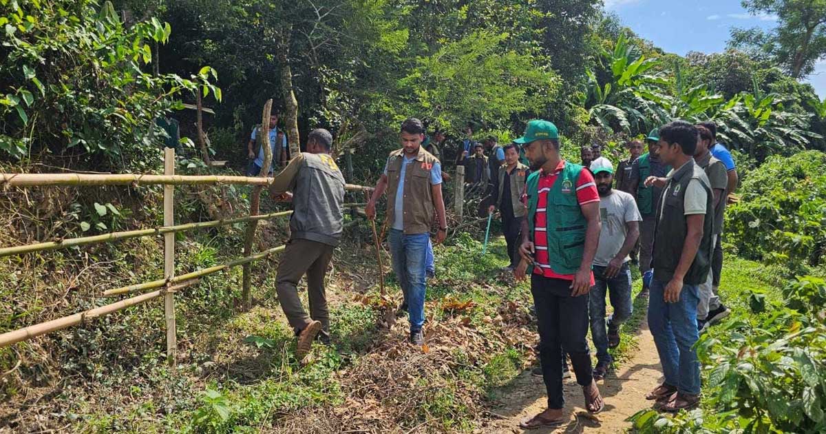 মিরসরাইয়ে আওয়ামী লীগ নেতার অবৈধ দখলকৃত বনভূমি উদ্ধার