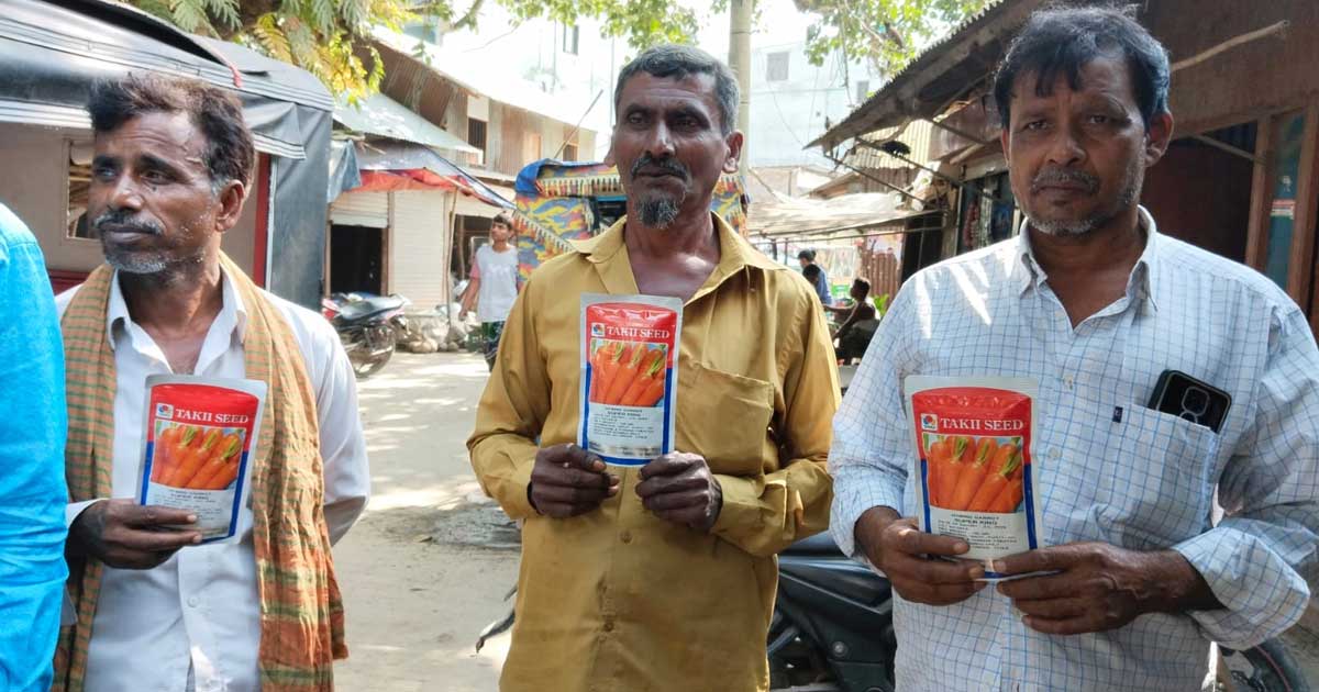 মানিকগঞ্জে গাজরের বীজ সিন্ডিকেটে অসহায় কৃষক