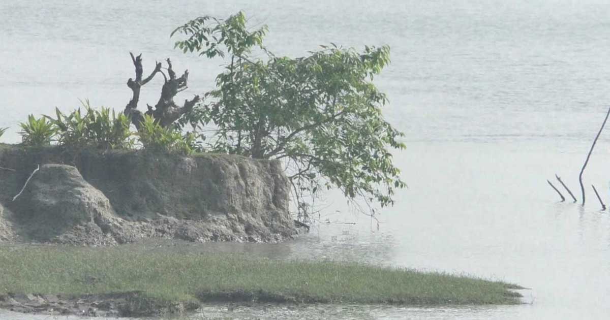 সিডরের ১৭ বছর আজ, এখনো আতঙ্কে কাটে দিন