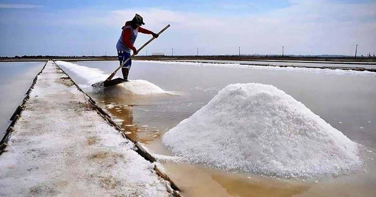 লবণ উৎপাদন শুরু: চলতি বছর দেশে চাহিদা ২৬ লাখ ১০ হাজার টন    