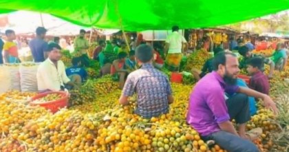 দেশজুড়ে বাড়ছে উখিয়ার সুপারির কদর