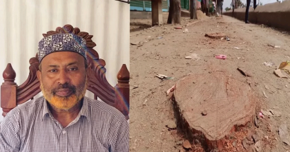 বিএনপি নেতার গাড়ি প্রবেশে অসুবিধা, কাটা হলো বেড়িবাঁধের ২০ গাছ বিএনপি নেতার গাড়ি প্রবেশে অসুবিধা, কাটা হলো বেড়িবাঁধের ২০ গাছ