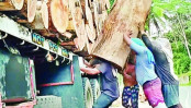 মহান মে দিবস আজ: শ্রমিকের অধিকার ও মর্যাদার স্বীকৃতির দিন মহান মে দিবস আজ: শ্রমিকের অধিকার ও মর্যাদার স্বীকৃতির দিন