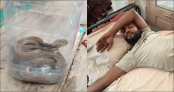 ছোবলের পর জীবন্ত গোখরা সাপ নিয়েই হাসপাতালে যুবক ছোবলের পর জীবন্ত গোখরা সাপ নিয়েই হাসপাতালে যুবক