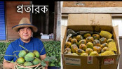 গ্রাহকদের সাথে প্রতারণা করেছে আম তারেক, এমন অভিযোগ করেছেন একজন প্রবাসী গ্রাহকদের সাথে প্রতারণা করেছে আম তারেক, এমন অভিযোগ করেছেন একজন প্রবাসী