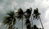 দুপুরের মধ্যে ১০ জেলায় ঝড়বৃষ্টির আভাস, নদীবন্দরে ১ নম্বর সতর্কসংকেত দুপুরের মধ্যে ১০ জেলায় ঝড়বৃষ্টির আভাস, নদীবন্দরে ১ নম্বর সতর্কসংকেত