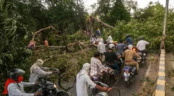 উত্তর প্রদেশে শক্তিশালী ঝড় ও বজ্রপাতে নিহত ৫৬ উত্তর প্রদেশে শক্তিশালী ঝড় ও বজ্রপাতে নিহত ৫৬