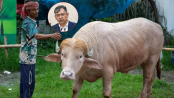 স্বরাষ্ট্রমন্ত্রীর হস্তক্ষেপে কোরবানি হচ্ছে না ‘ডোনাল্ড ট্রাম্প’
স্বরাষ্ট্রমন্ত্রীর হস্তক্ষেপে কোরবানি হচ্ছে না ‘ডোনাল্ড ট্রাম্প’