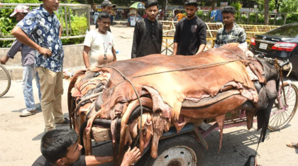 চামড়া বাজারে মন্দা, লক্ষ্যমাত্রা কমেছে এক-তৃতীয়াংশ
চামড়া বাজারে মন্দা, লক্ষ্যমাত্রা কমেছে এক-তৃতীয়াংশ