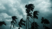আট অঞ্চলে ঝড়-বজ্রবৃষ্টির সতর্কতা জারি আট অঞ্চলে ঝড়-বজ্রবৃষ্টির সতর্কতা জারি