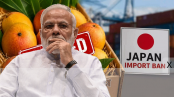 ভারতীয় আম আমদানিতে জাপানের নিষেধাজ্ঞা ভারতীয় আম আমদানিতে জাপানের নিষেধাজ্ঞা