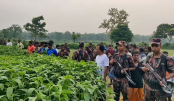 বিএসএফের দুই দফা পুশইন রুখে দিল বিজিবি বিএসএফের দুই দফা পুশইন রুখে দিল বিজিবি