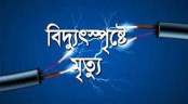 নীলফামারীতে বিদ্যুৎ স্পৃষ্ট হয়ে দুইজনের মৃত্যু, আহত ১
নীলফামারীতে বিদ্যুৎ স্পৃষ্ট হয়ে দুইজনের মৃত্যু, আহত ১