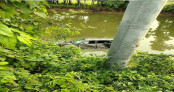 সড়ক দুর্ঘটনায় প্রাণ গে'ল দুই বছরের শিশুর, আহত পাঁচ সড়ক দুর্ঘটনায় প্রাণ গে'ল দুই বছরের শিশুর, আহত পাঁচ