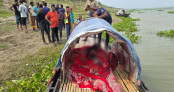 লালপুরে কয়েকদিনের ব্যবধানে আবারও গুলিবিদ্ধ যুবকের লাশ উদ্ধার লালপুরে কয়েকদিনের ব্যবধানে আবারও গুলিবিদ্ধ যুবকের লাশ উদ্ধার