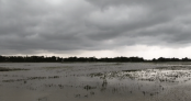 নেত্রকোনার মদনে মাছের বাইর তুলতে গিয়ে বজ্রপাতে এক যুবকের মৃত্যু নেত্রকোনার মদনে মাছের বাইর তুলতে গিয়ে বজ্রপাতে এক যুবকের মৃত্যু