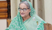 শেখ হাসিনার দেশে ফেরার অঙ্গীকার, বিচারকে প্রহসন বলে দাবি শেখ হাসিনার দেশে ফেরার অঙ্গীকার, বিচারকে প্রহসন বলে দাবি