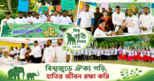 বাঁশখালীতে বিশ্ব হাতি দিবস: ক্ষতিগ্রস্ত ৪৫ কৃষক পেলেন ১৯ লাখ টাকার চেক বাঁশখালীতে বিশ্ব হাতি দিবস: ক্ষতিগ্রস্ত ৪৫ কৃষক পেলেন ১৯ লাখ টাকার চেক