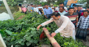 জলাবদ্ধতা নিরসনে চর বেতাগৈরে খাল পরিদর্শনে তথ্য ও সম্প্রচার প্রতিমন্ত্রী জলাবদ্ধতা নিরসনে চর বেতাগৈরে খাল পরিদর্শনে তথ্য ও সম্প্রচার প্রতিমন্ত্রী
