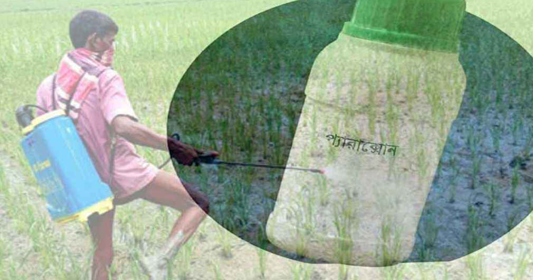 আগাছা মারতে ৭৭ দেশে নিষিদ্ধ প্যারাকোয়াট, দেশে মরছে মানুষ
আগাছা মারতে ৭৭ দেশে নিষিদ্ধ প্যারাকোয়াট, দেশে মরছে মানুষ