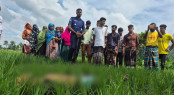 কোটচাঁদপুরে চাচাতো ভাইয়ের অস্ত্রের আঘাতে যুবক নিহত কোটচাঁদপুরে চাচাতো ভাইয়ের অস্ত্রের আঘাতে যুবক নিহত
