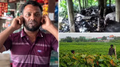 ভার্চুয়াল হুংকারে মাঠে আ.লীগের ‘ফ্রি সার্কাস’ ভার্চুয়াল হুংকারে মাঠে আ.লীগের ‘ফ্রি সার্কাস’