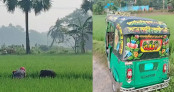 চার দিন নিখোঁজ, কুমিল্লার লালমাইয়ের ধানখেতে মিলল কিশোরীর মরদেহ চার দিন নিখোঁজ, কুমিল্লার লালমাইয়ের ধানখেতে মিলল কিশোরীর মরদেহ